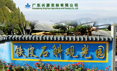 廣東興源農林有限公司